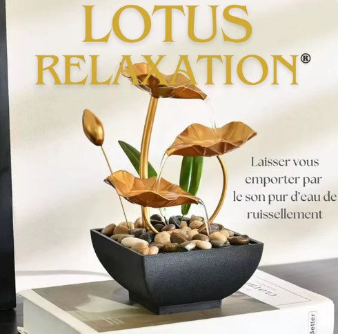 Lotus Relaxation® : Votre Oasis de Calme